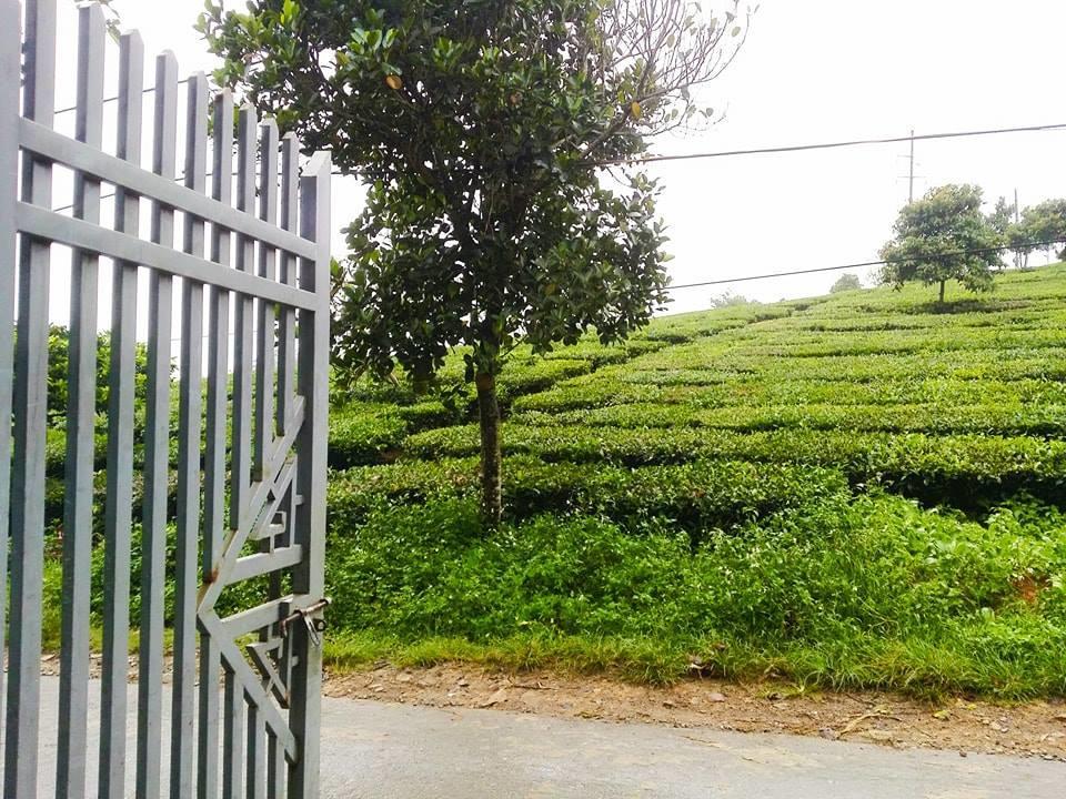 Homestay Moc Chau Buitenkant foto